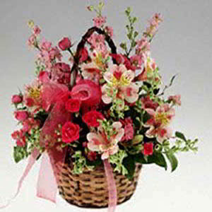 Florham Park Florist | Basket of Pinks