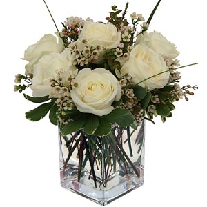 Florham Park Florist | 6 White Roses