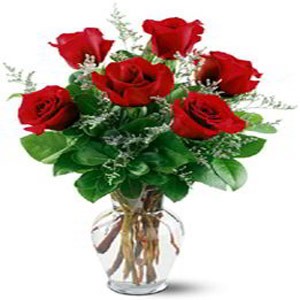 Florham Park Florist | Six Red Roses