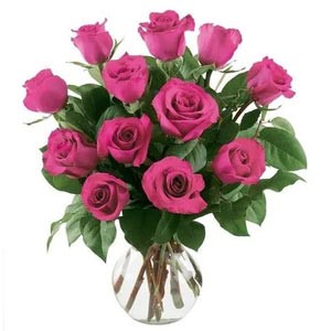 Florham Park Florist | 12 Bright Pink Roses