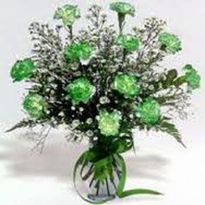 Florham Park Florist | Dz Green Carnations