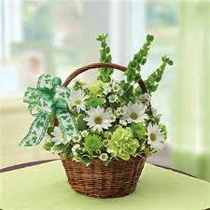 Florham Park Florist | Irish Basket