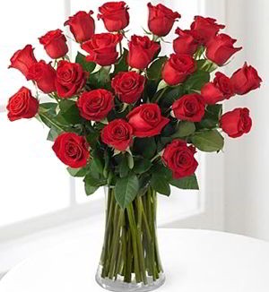 Florham Park Florist | 24 Red Roses