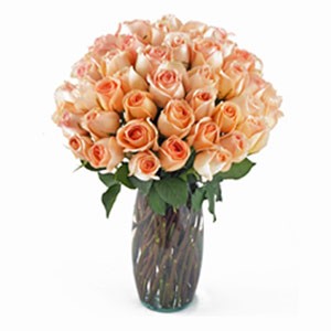 Florham Park Florist | 36 Peach Roses