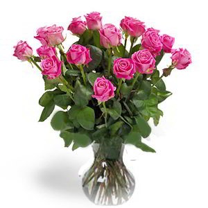 Florham Park Florist | 18 Pink Roses