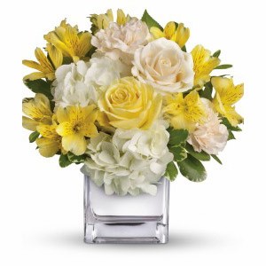 Florham Park Florist | Bright Collection