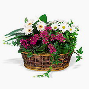 Florham Park Florist | Spring Garden