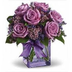 Florham Park Florist | 6 Lavendar Roses