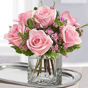 Florham Park Florist | 6 Pink Roses