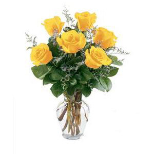 Florham Park Florist | 6 Yellow Roses